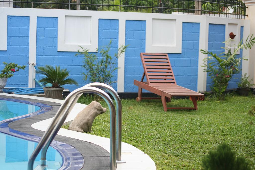 Serendib Guest House Negombo Kültér fotó